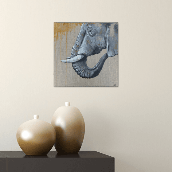 Elephant Grey #2