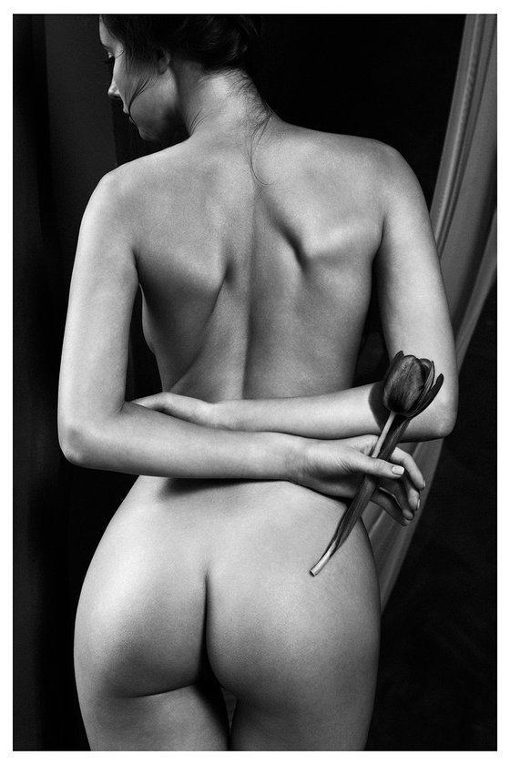 Black tulp. Nude.