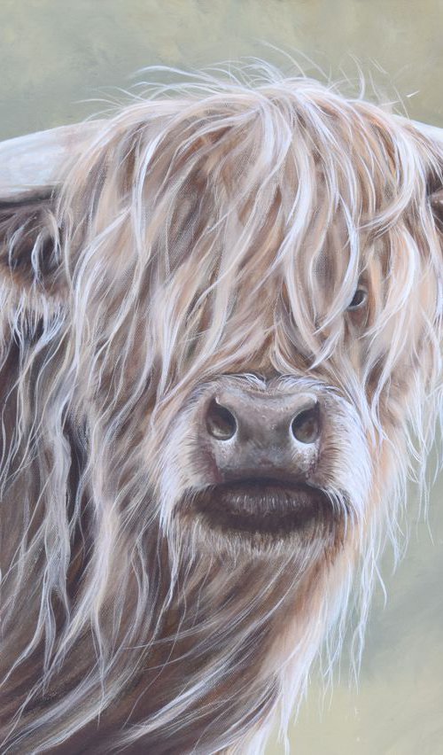 'Blondie' by Nicola Colbran