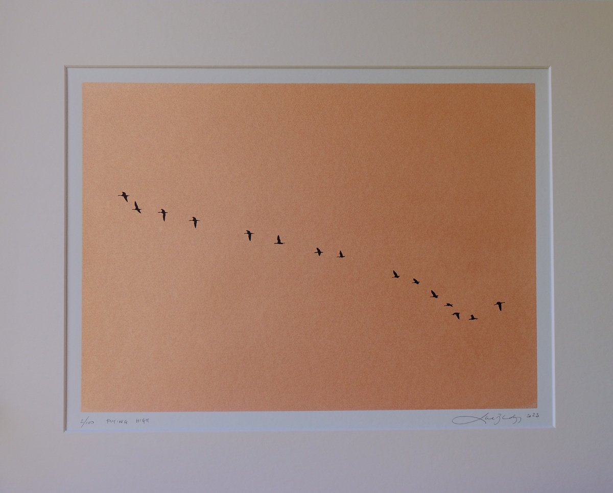 Animal Screenprint By Lene Bladbjerg, 20 X 16", Flying High, Original Artwork