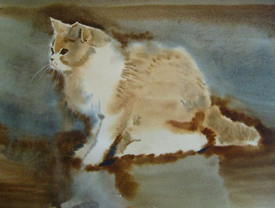 Cat, watercolor painting 30x42 cm