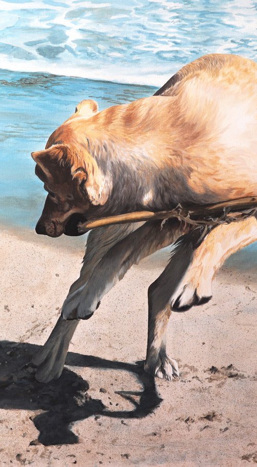 Bradley enjoying the Mediterranean by Julian Wheat