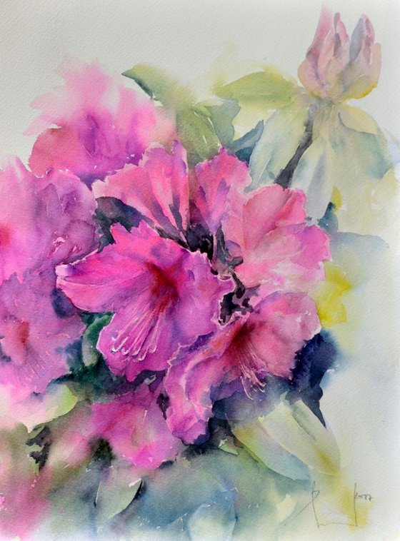 RHODODENDRON. DREAM GARDEN original watercolor 30X40