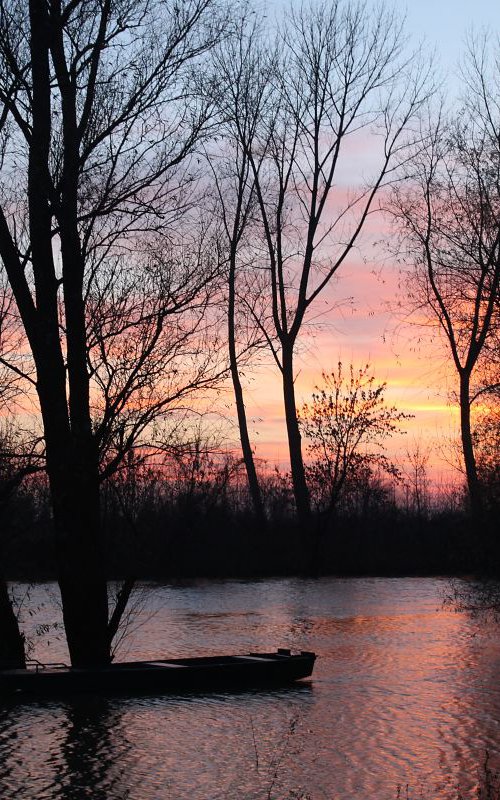 Sunset on the river by Sonja  Čvorović