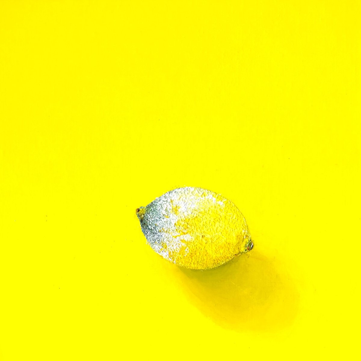 Photorealistic Botanical Acrylic Painting By Lena Smirnova, 10 X 10", Bad Lemon, Original Artwork