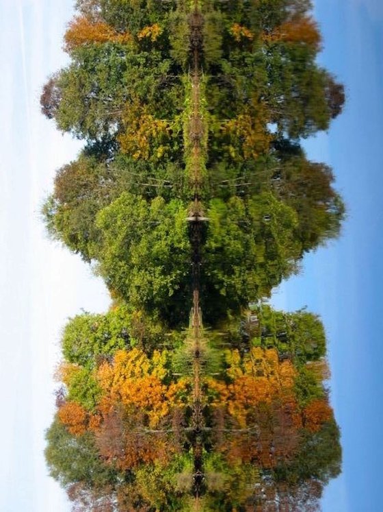 Symmetry in Nature