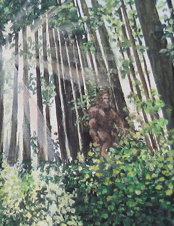 Sasquatch Country