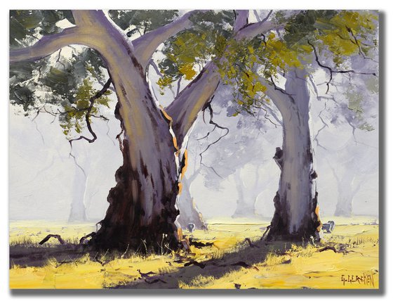 Misty Morning Australian Landscape