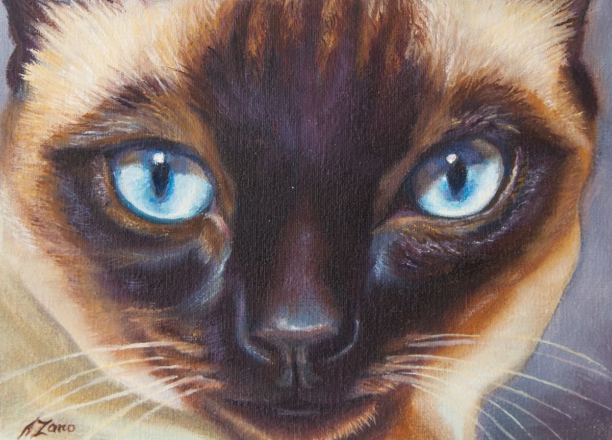 Siamese cat by Norma Beatriz Zaro