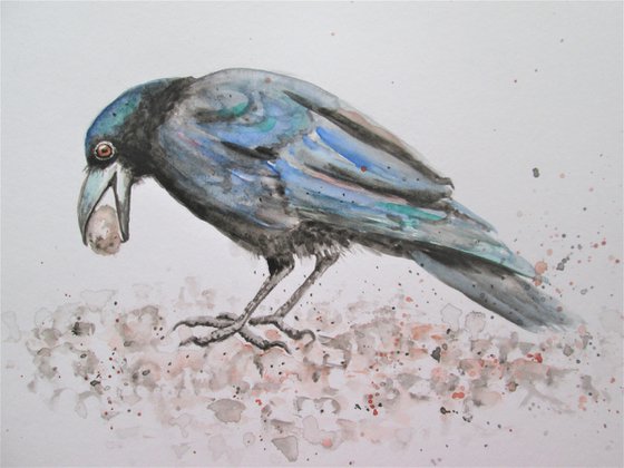 Crow with Pebble