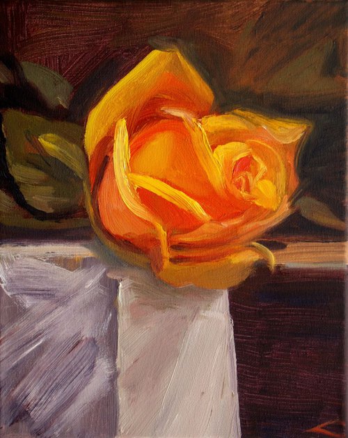 Yellow rose by Elena Sokolova