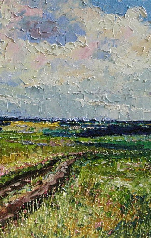 Road in the countryside by Ilshat Nayilovich