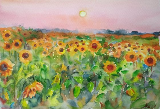 Summer field sunflowers 2