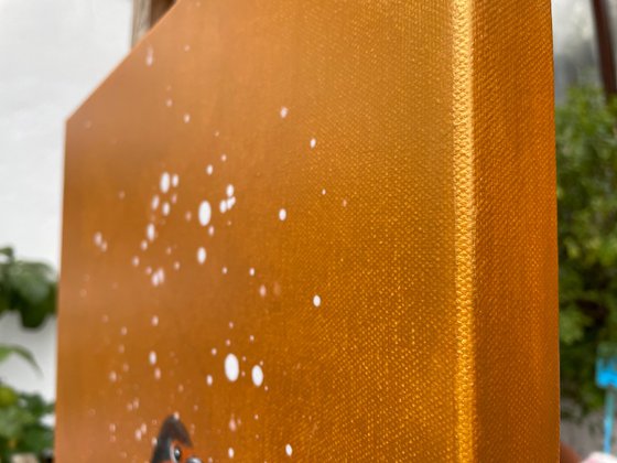 Red Robin in the Snow