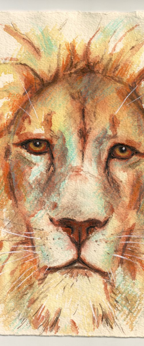 Lion by Ilona Borodulina