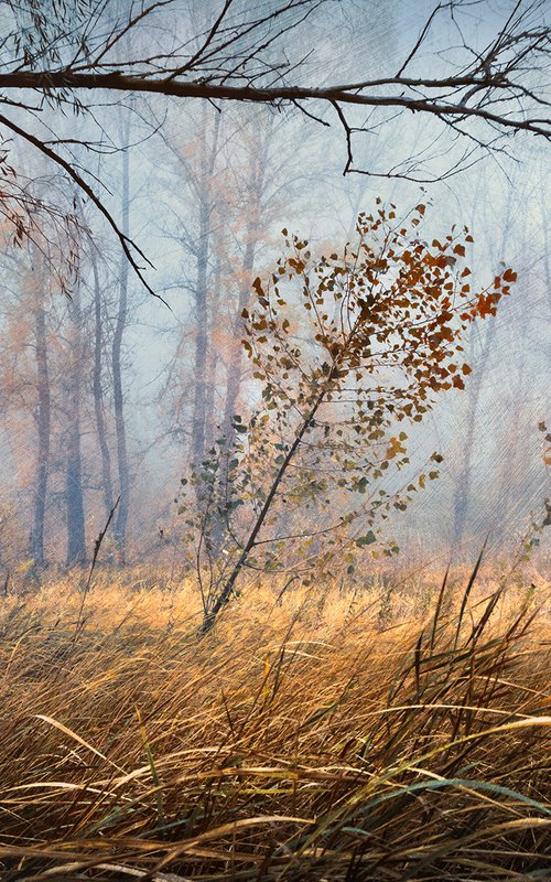 In the mist of autumn. Scene 2 "The grass has already turned yellow". by Valerix