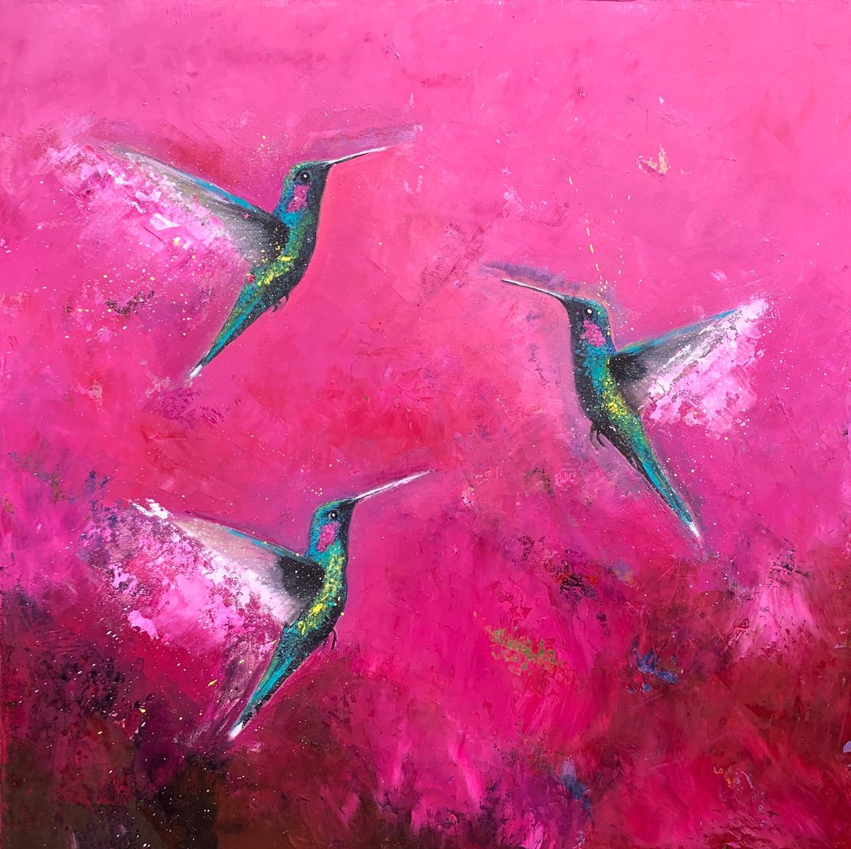 The Joy of Hummingbirds by Laure Bury