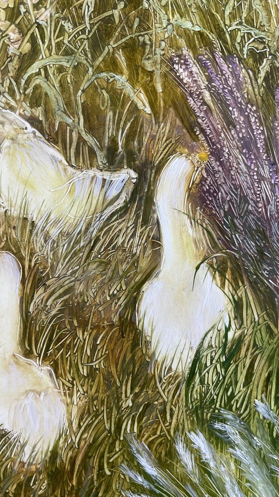 In the Flower Garden