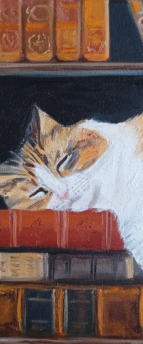 Sleeping Cat by Ira Whittaker