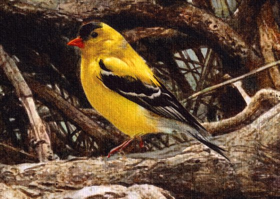 Tree with American Goldfinch