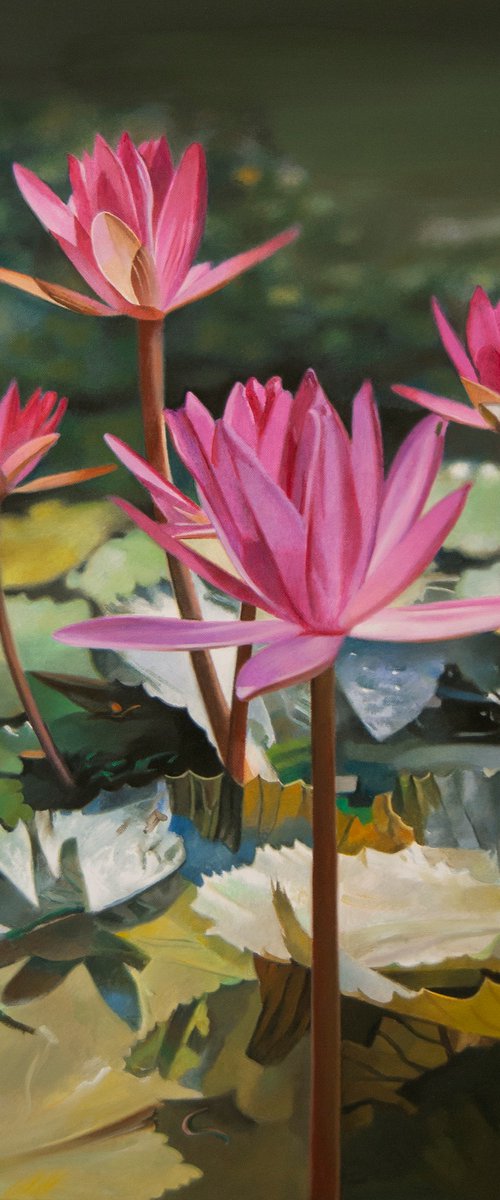 Water lilies by Valeri Tsvetkov