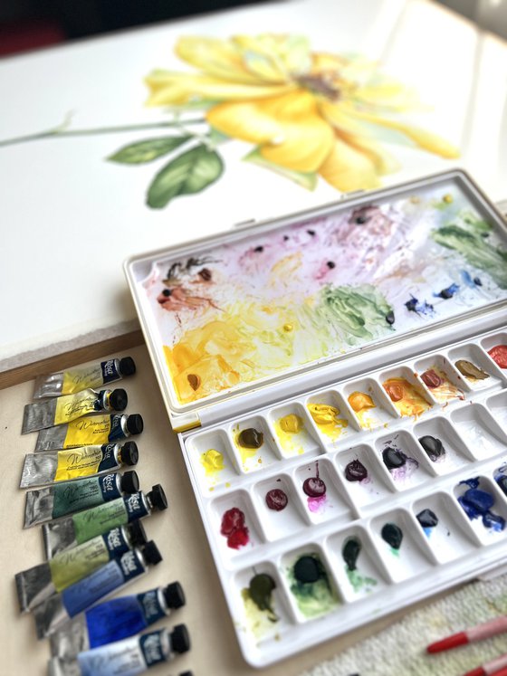 Greetings to the sun