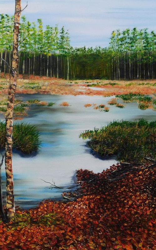 Delamere Moss by Hazel Thomson