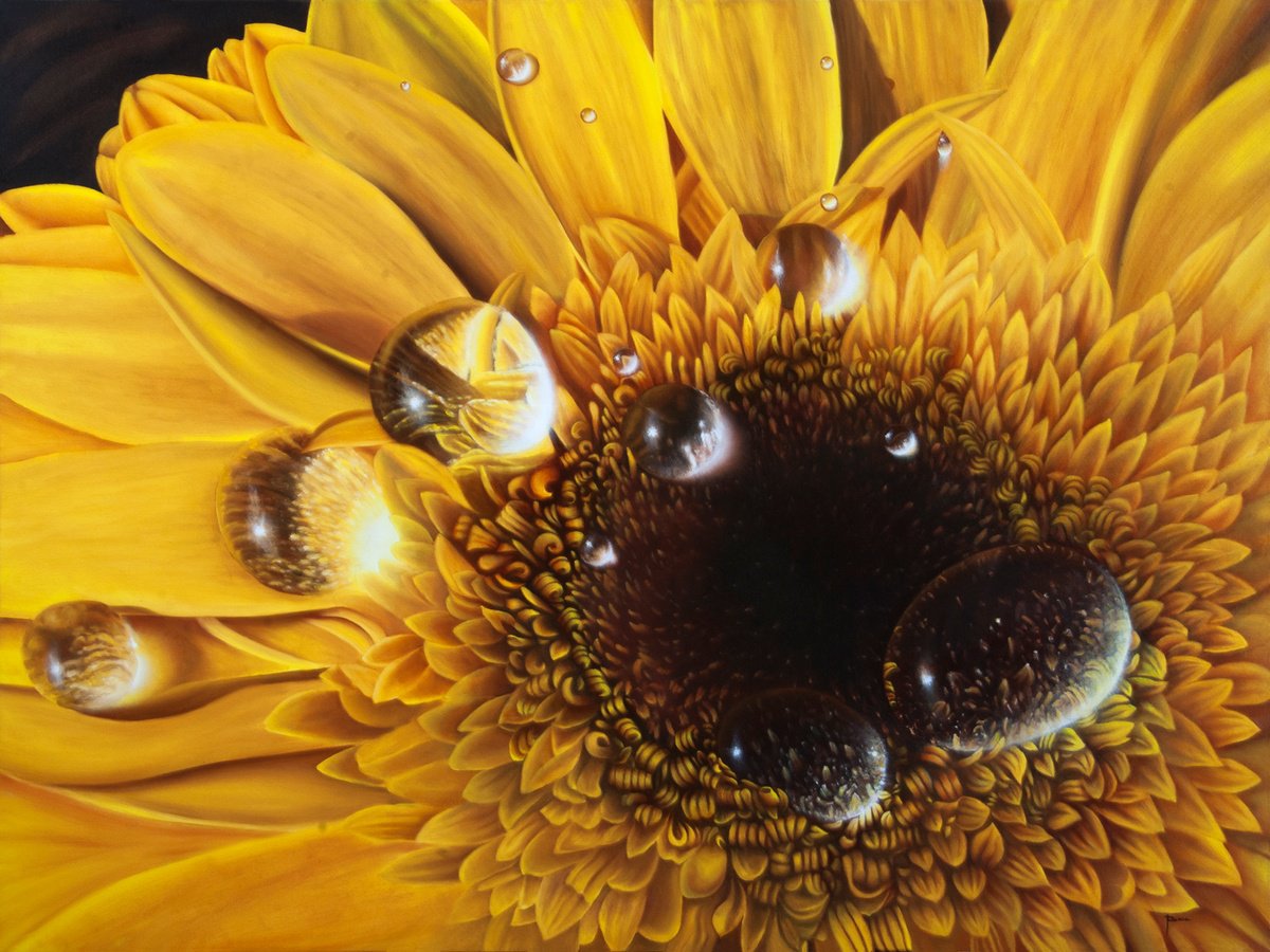 Photorealistic Botanical Oil Painting By Juan Bernal, 48 X 36", "Magnifying Droplets", Original Artwork