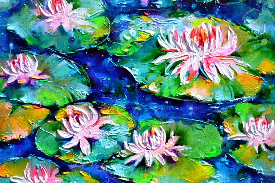 Water Lilies on the Pond