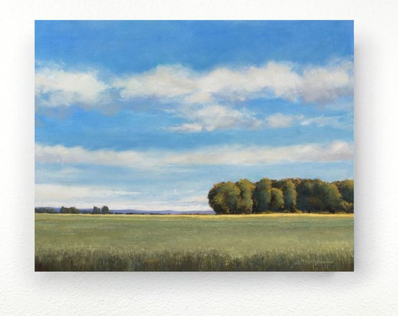 Summer Field 190718