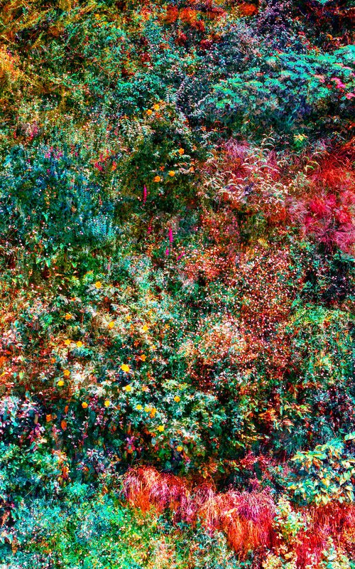 Wall of Nature XXIX (Framed) by Viet Ha Tran