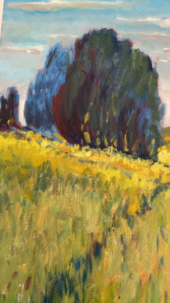 Over the field
