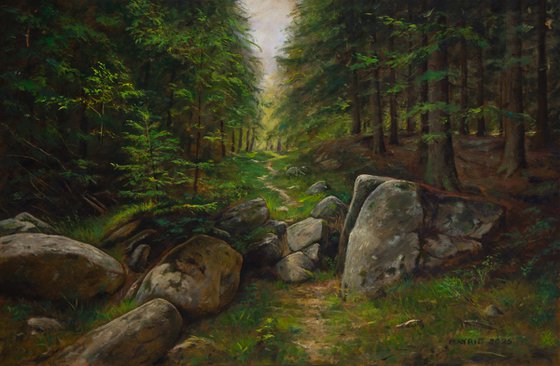 Through the Forest