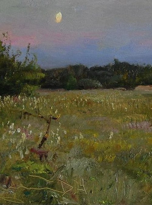 Twilight meadow by Denys Gorodnychyi