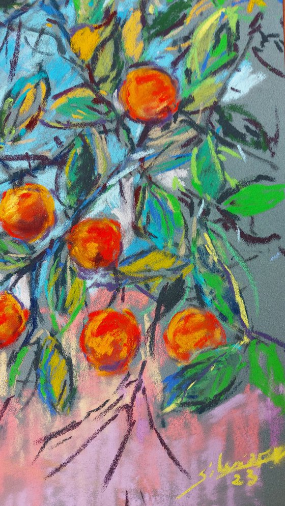 Orange tree