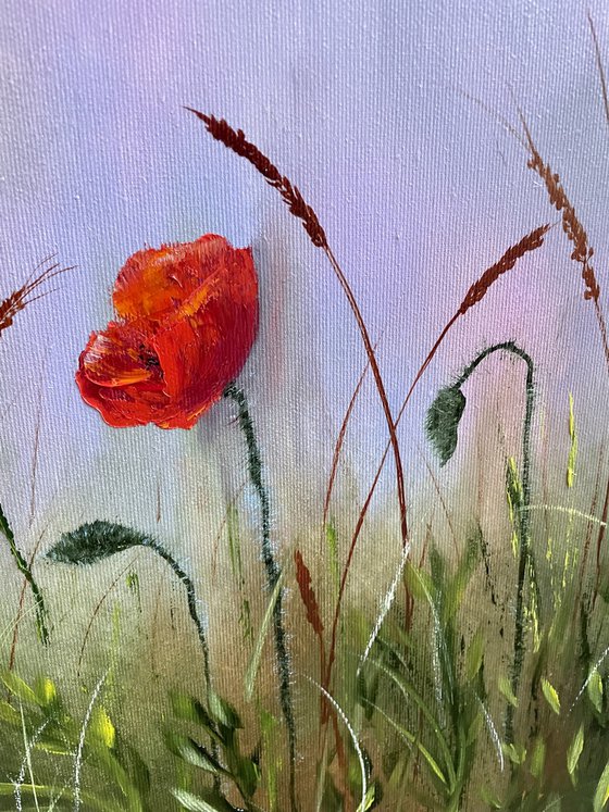 Red poppies for sweet home