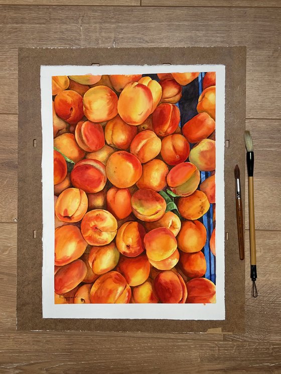 Apricots