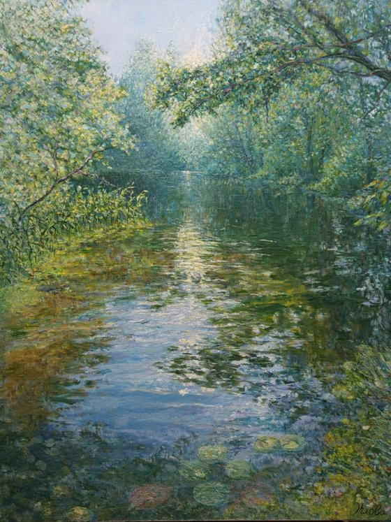 Where the Light settles