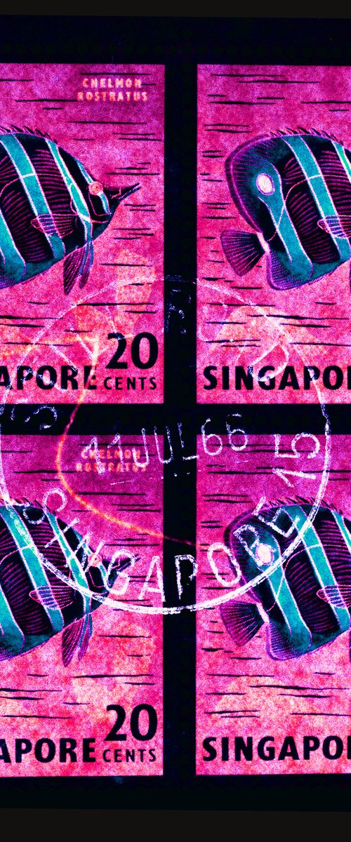 Singapore Stamp Collection '20 Cents Singapore Butterfly Fish' (Hot Pink) by Richard Heeps