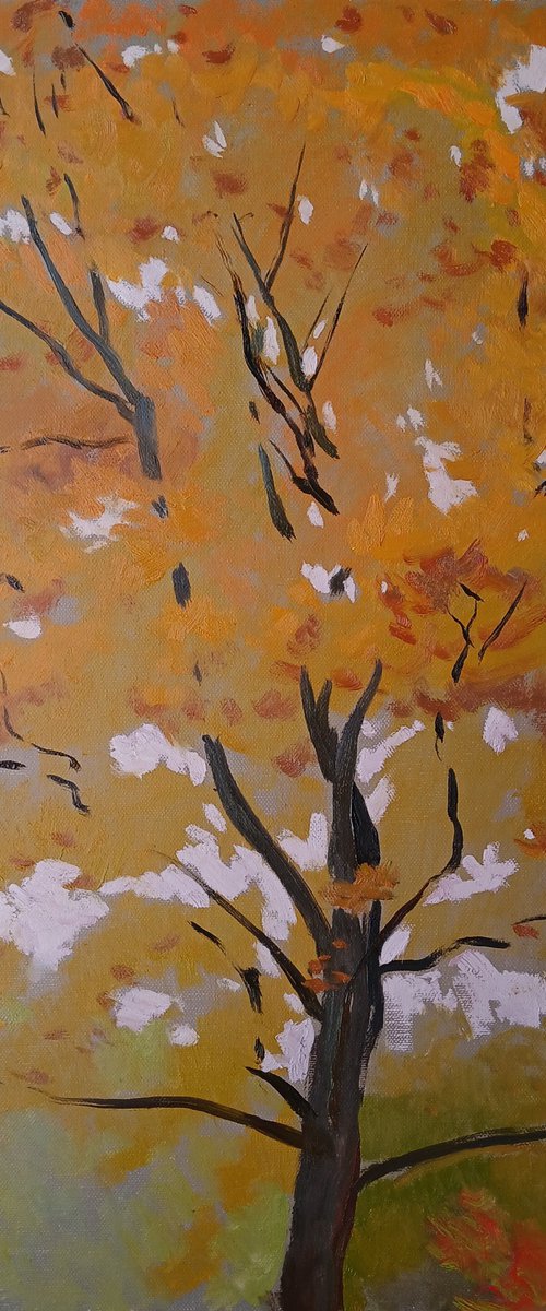 Leaves of October by Vasyl Koval