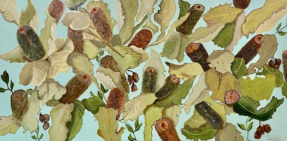 Banksia Robus
