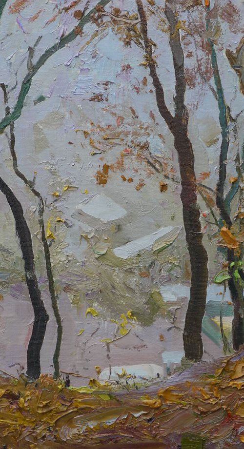 Leskovitsa in the fog by Victor Onyshchenko