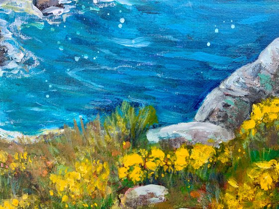 Cornish Cove