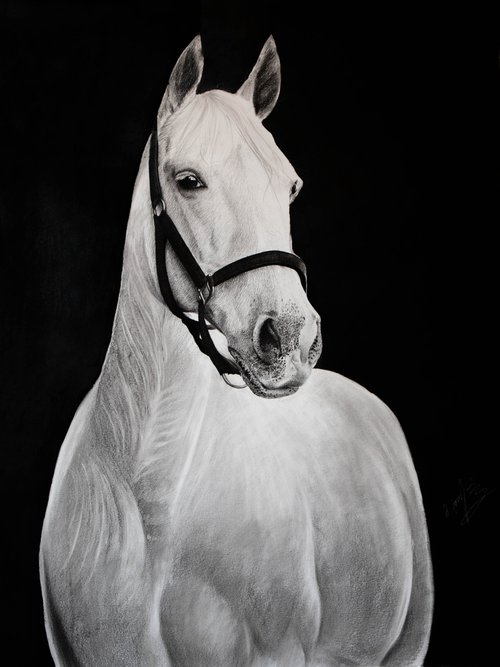 White Horse #3 by Mariam Darchiashvili