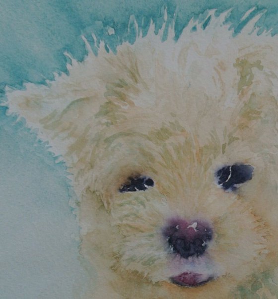 Scruff - Fluffy Dog Soft Toy - Original watercolour