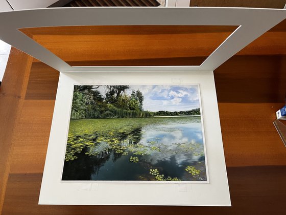 Water Lilies and Cloud Reflections