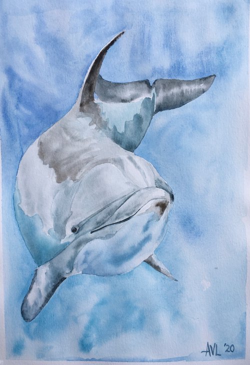 Dolphin by Abigail Long