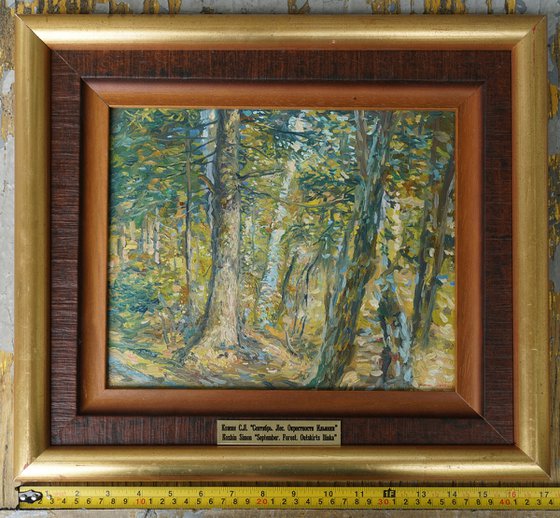 September. Forest. Surroundings of Ilyinki