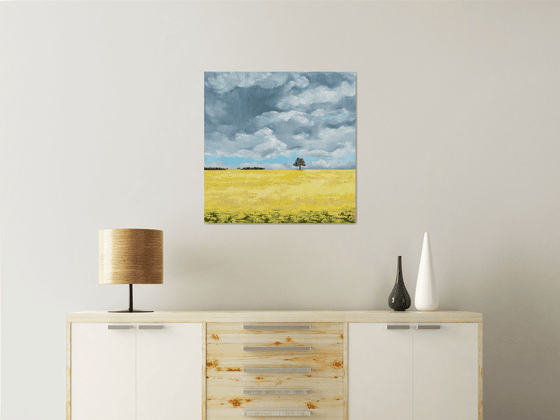 Yellow field, 65 x 65 cm