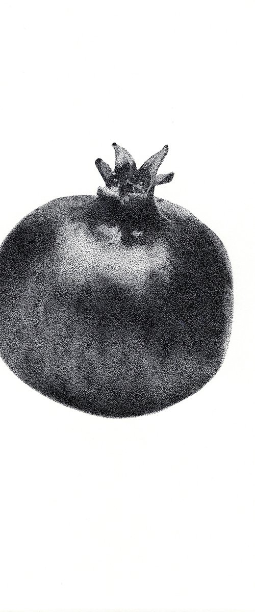 The Pomegranate by Alona Hryn